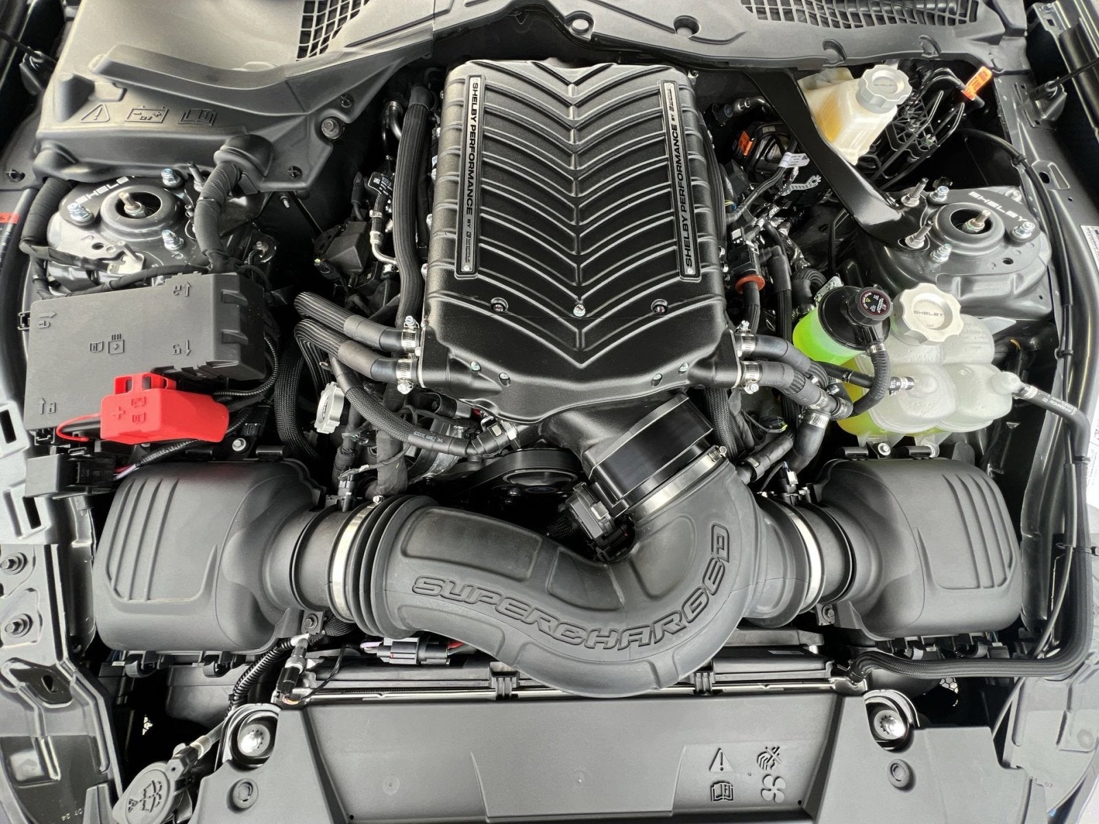 2025 Ford Mustang Shelby Supercharged Super Snake