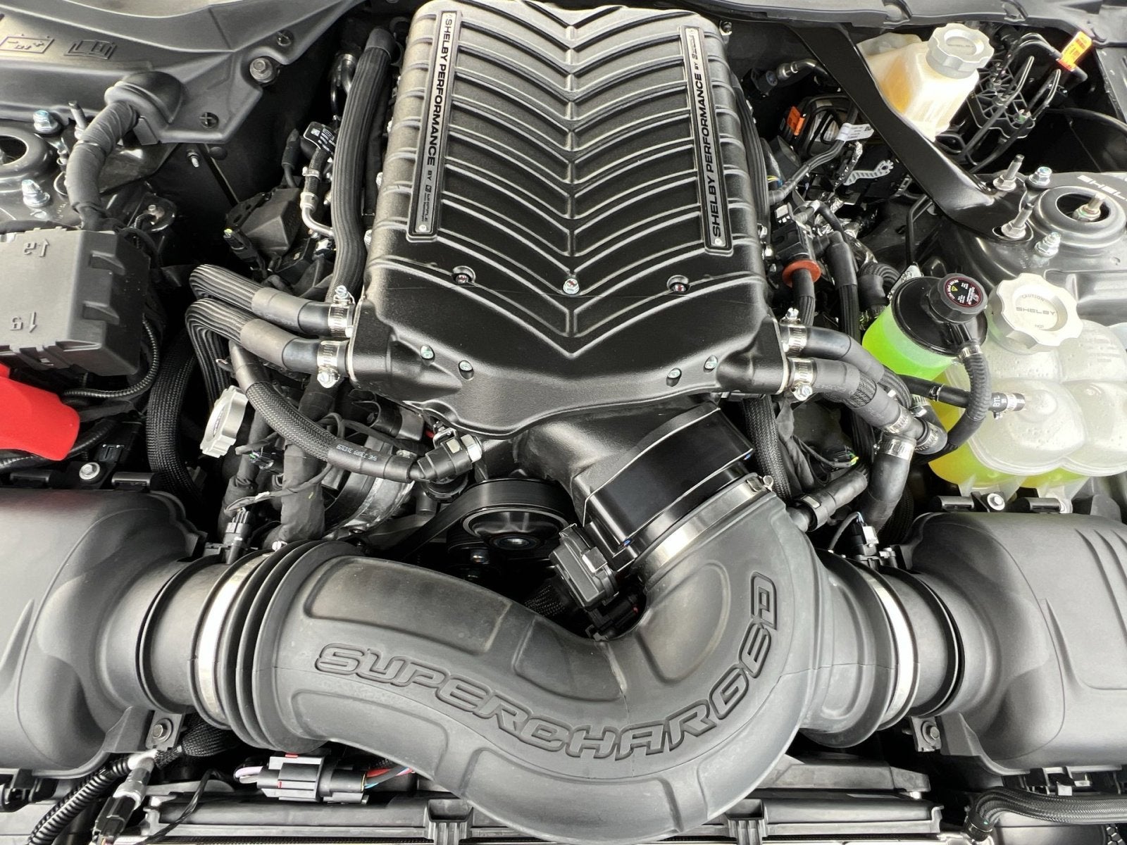 2025 Ford Mustang Shelby Supercharged Super Snake