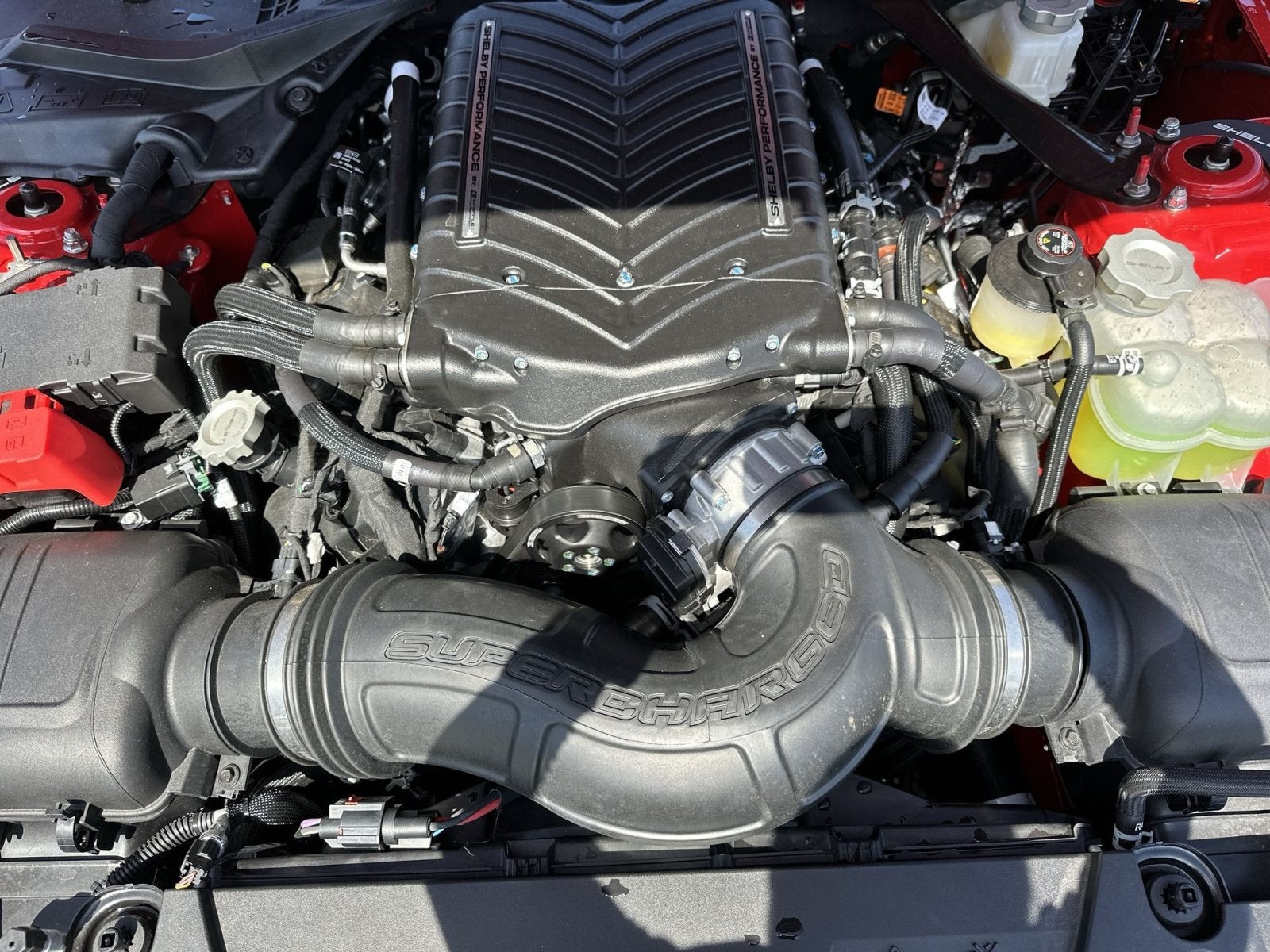 2025 Ford Mustang Shelby GT350 Supercharged