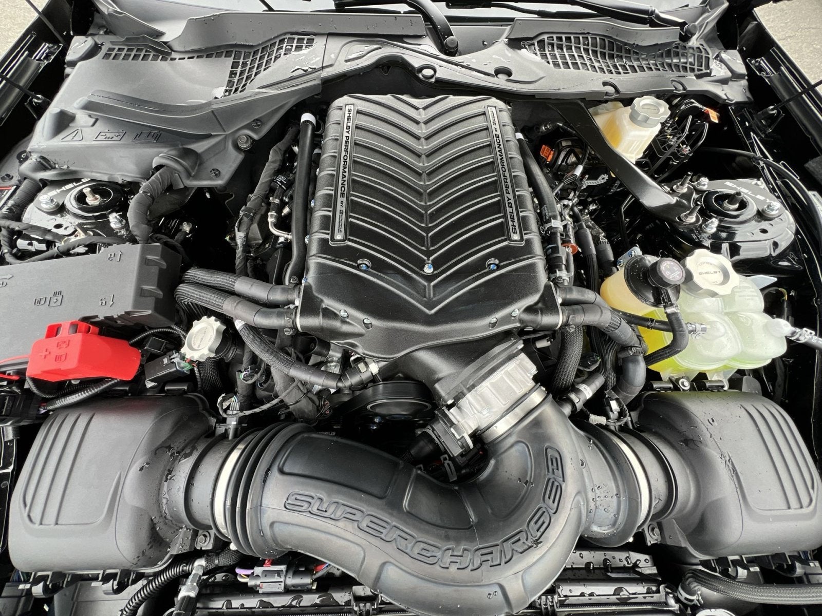 2025 Ford Mustang Shelby GT350 Supercharged
