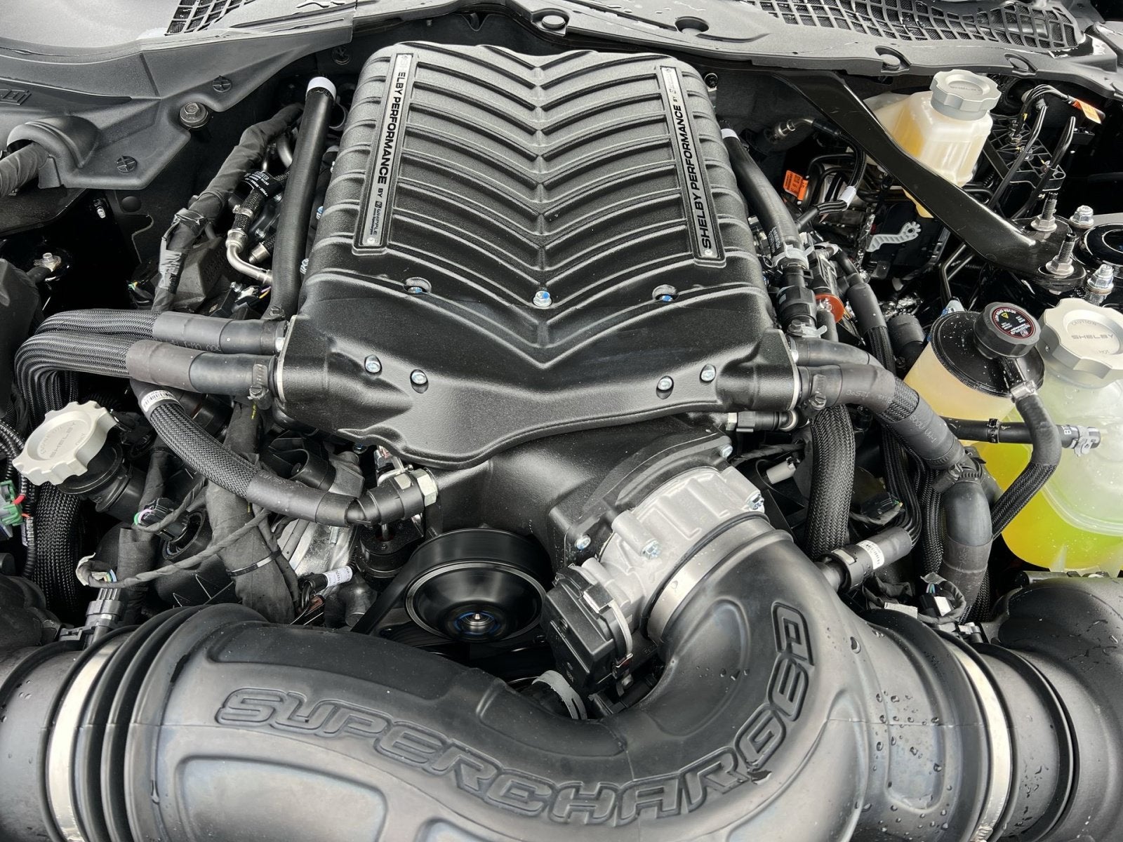 2025 Ford Mustang Shelby GT350 Supercharged