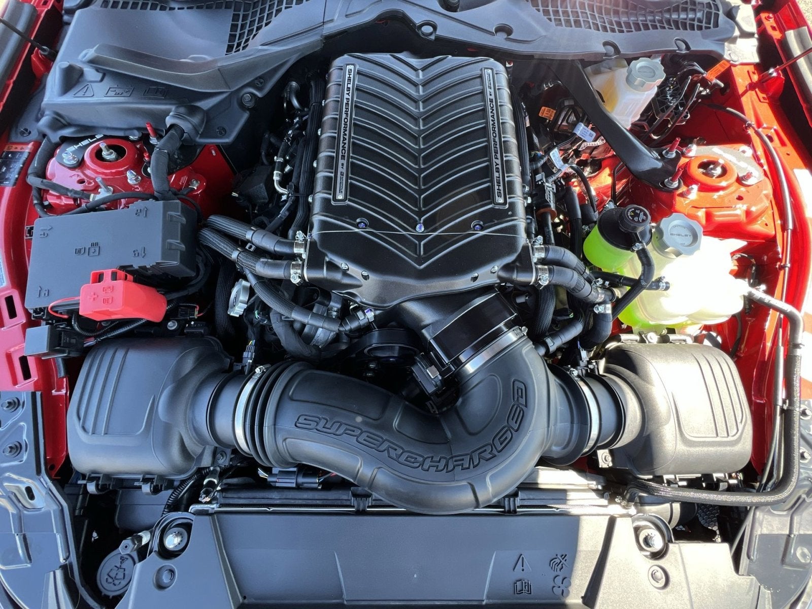 2025 Ford Mustang Shelby Supercharged Super Snake