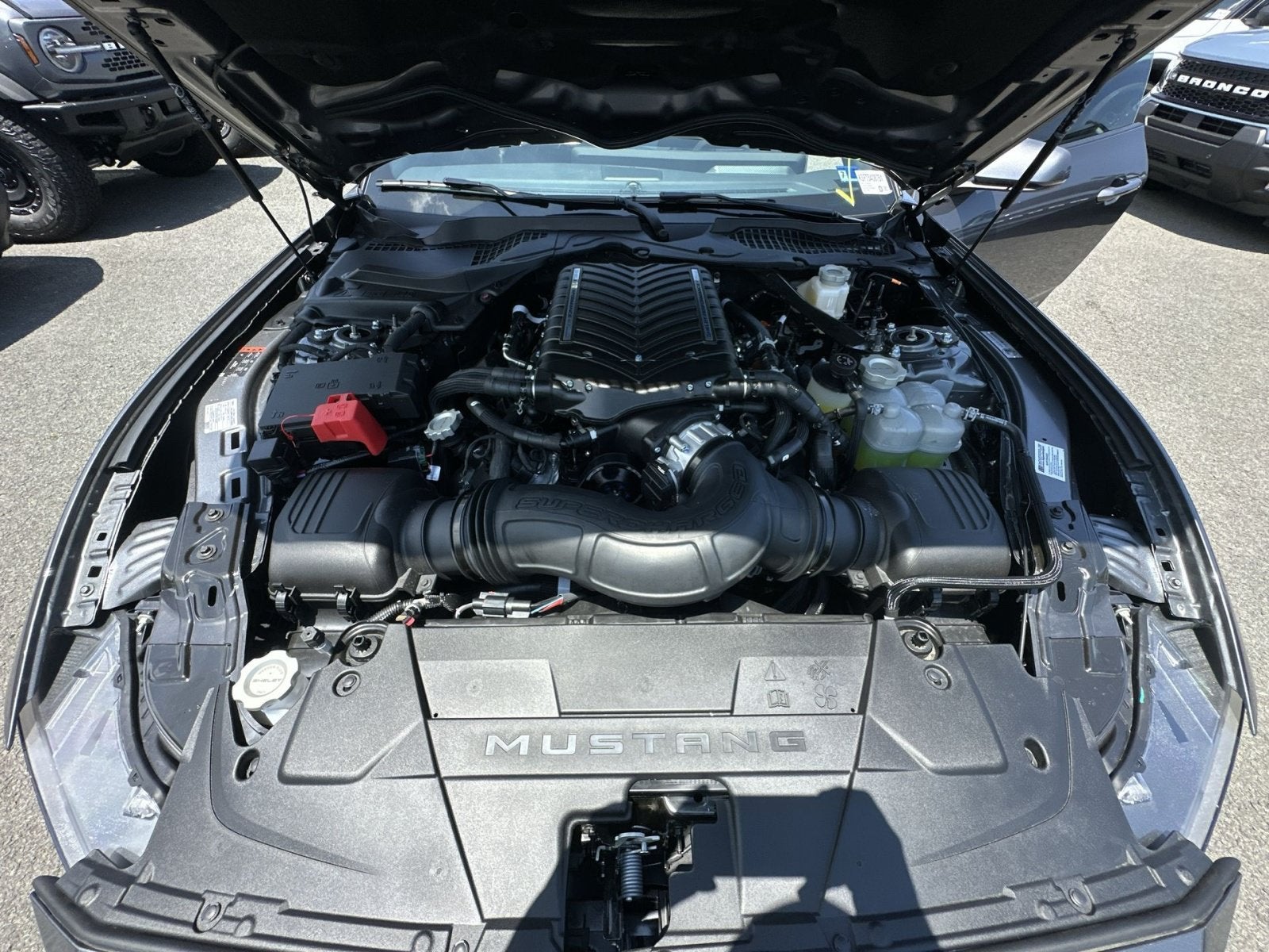 2026 Ford Mustang Shelby GT350 Supercharged