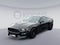 2018 Ford Mustang Shelby GT350R