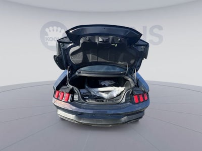 2025 Ford Mustang Dark Horse