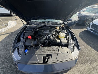 2025 Ford Mustang Dark Horse