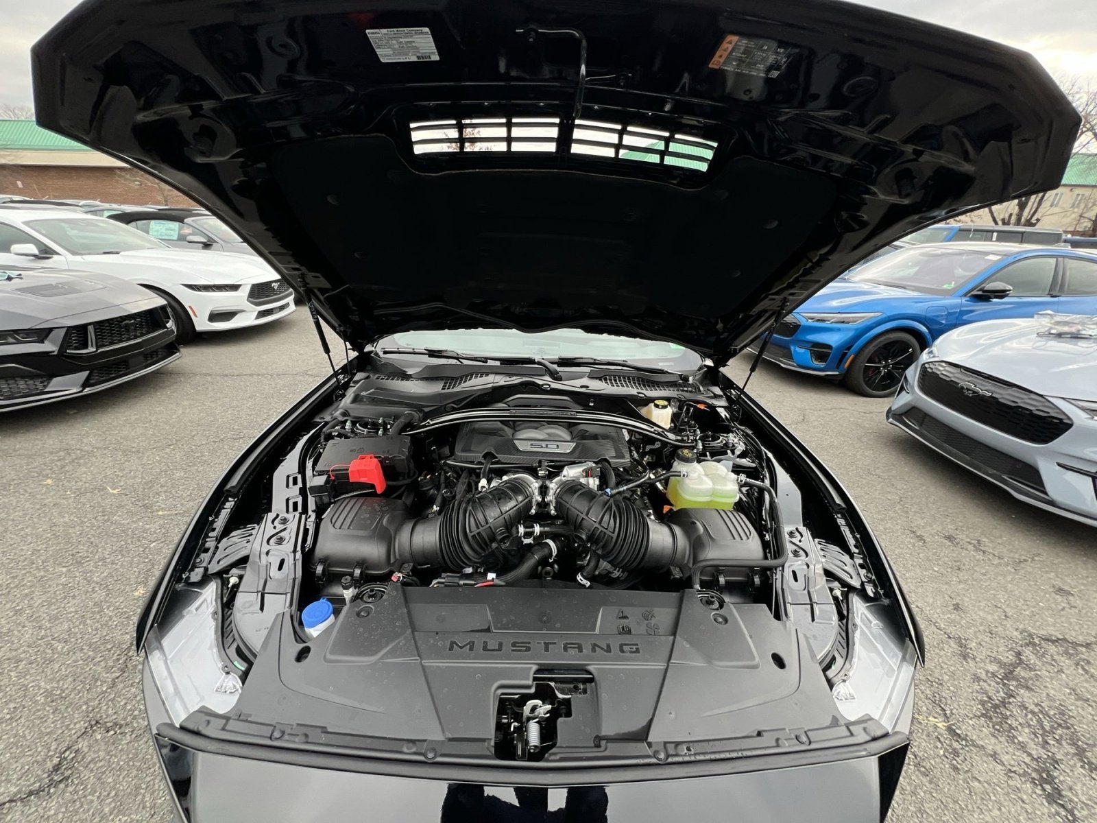 2026 Ford Mustang Dark Horse