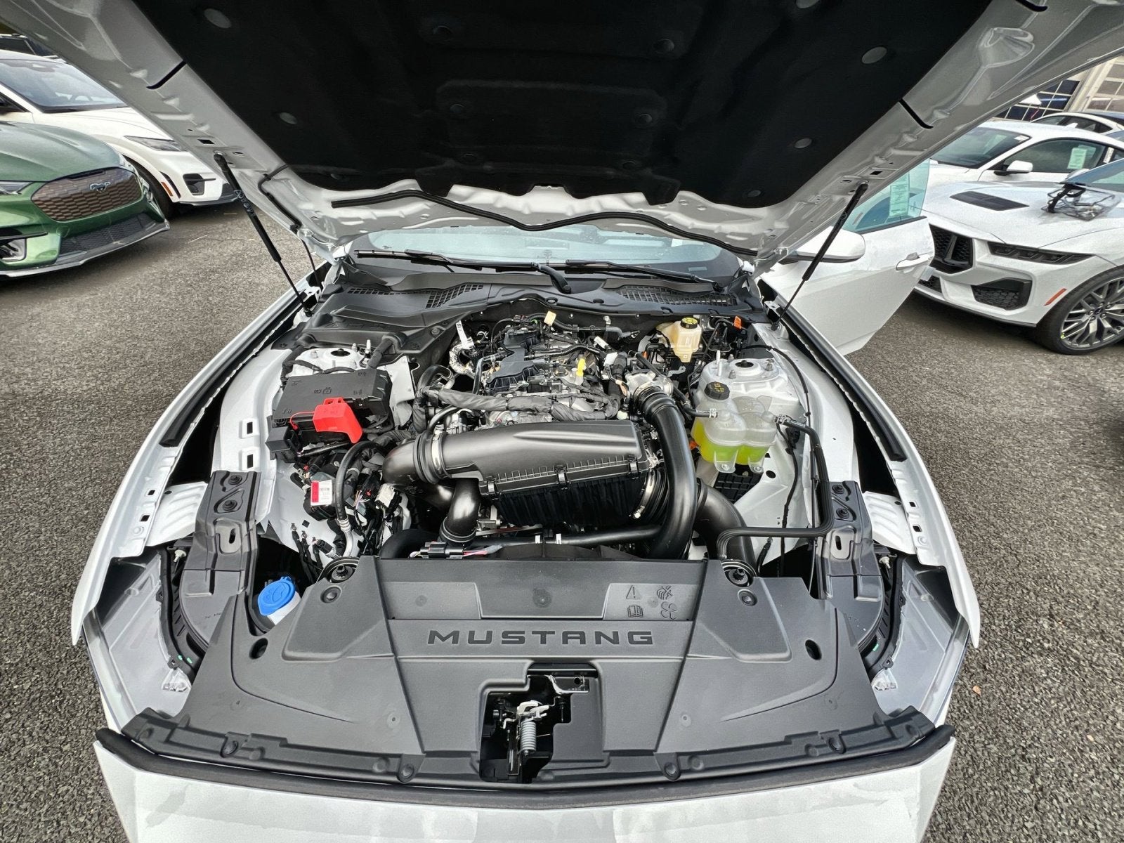 2026 Ford Mustang EcoBoost