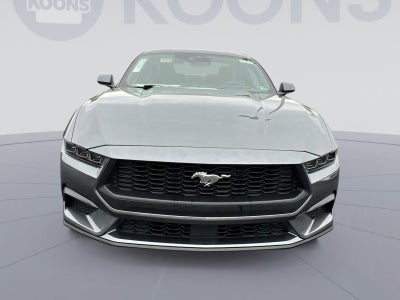 2025 Ford Mustang EcoBoost