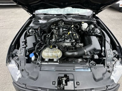 2022 Ford Mustang EcoBoost