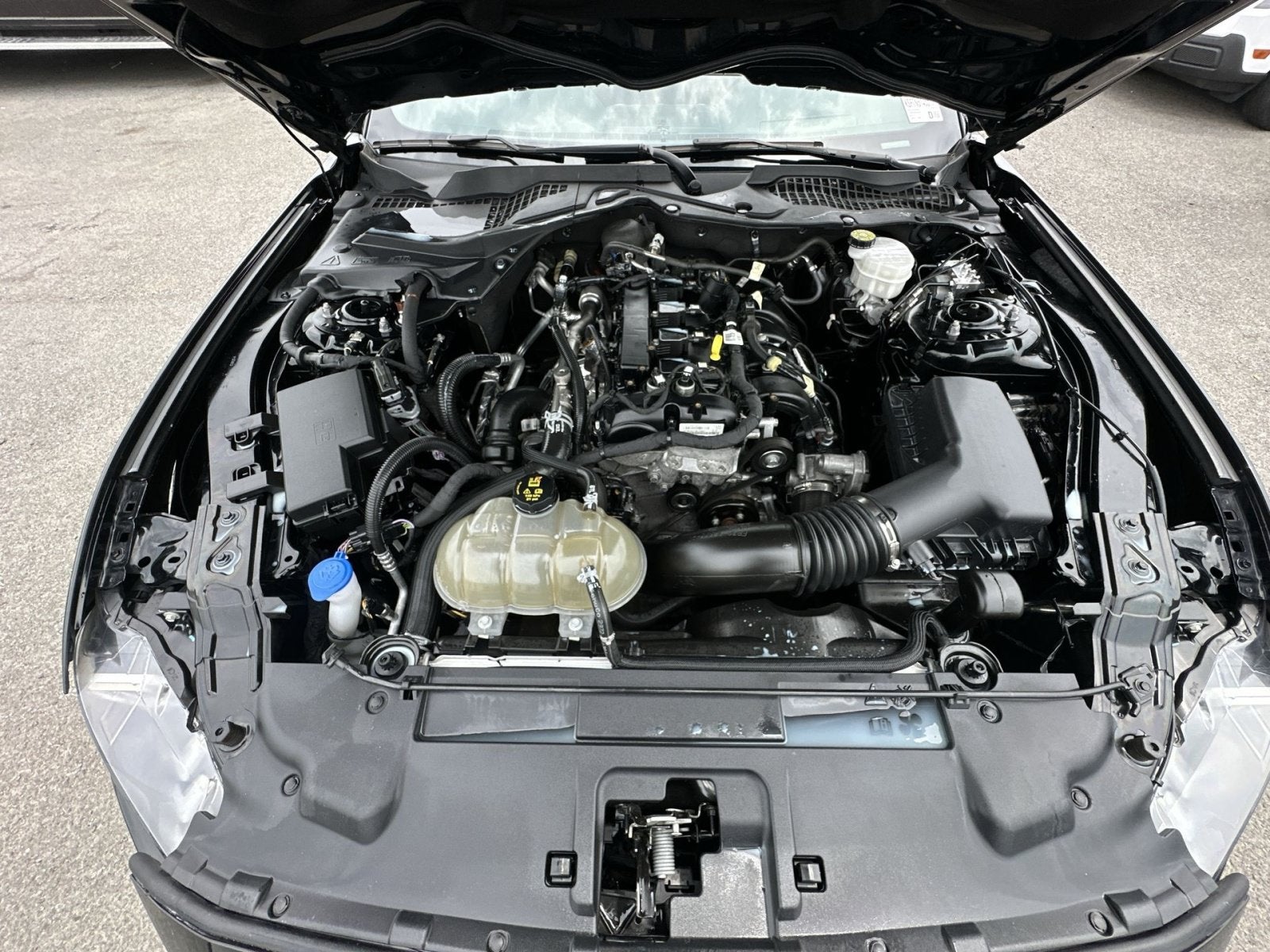 2022 Ford Mustang EcoBoost