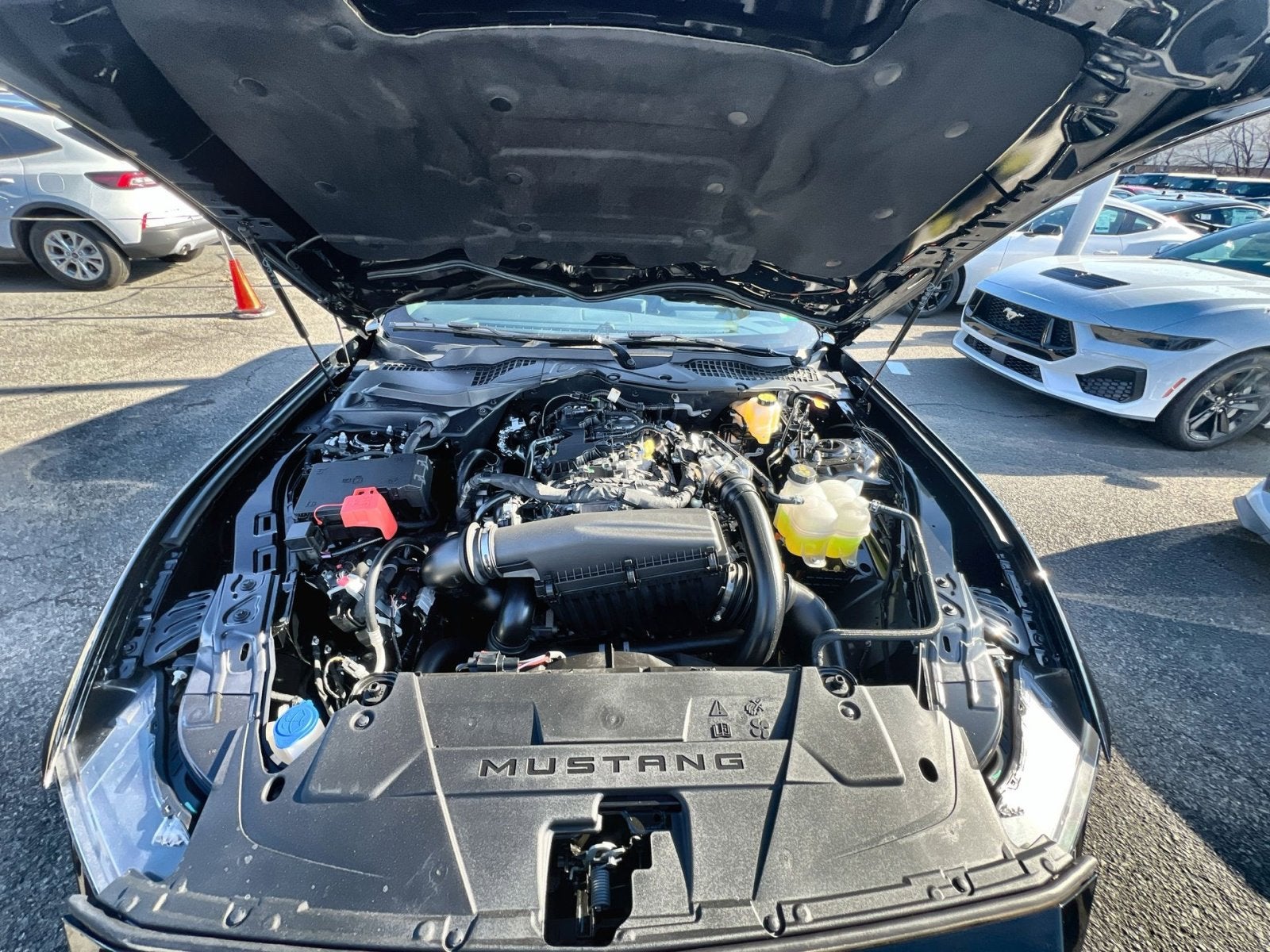 2026 Ford Mustang EcoBoost