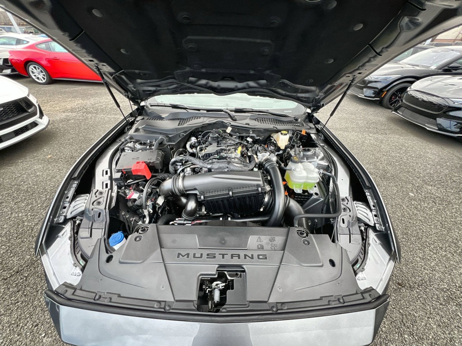 2026 Ford Mustang EcoBoost