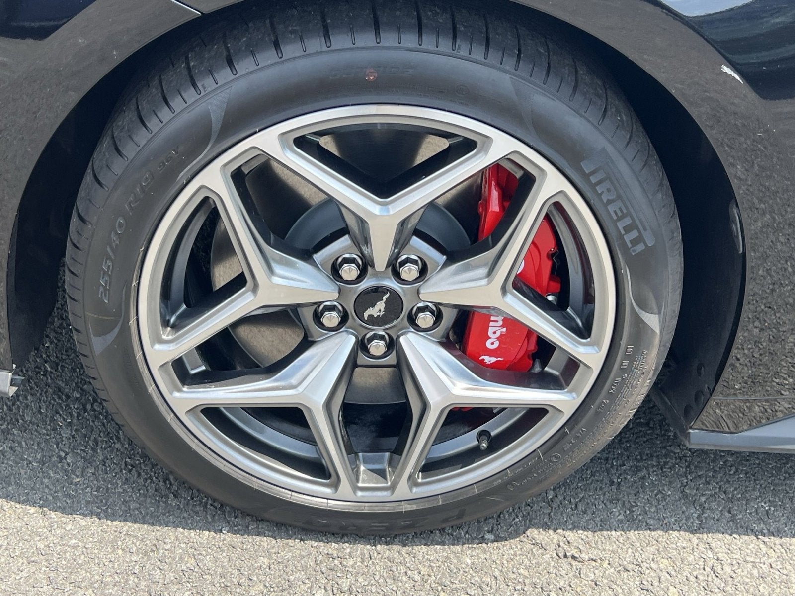 2024 Ford Mustang GT Premium Performance Pkg