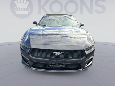2026 Ford Mustang EcoBoost Premium