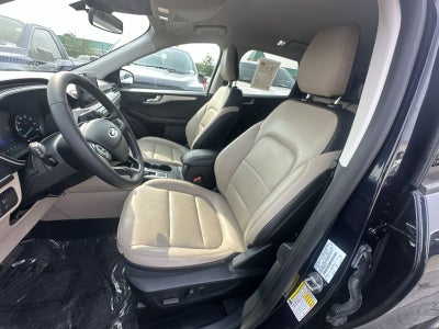 2021 Ford Escape Hybrid SEL