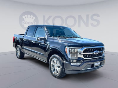 2023 Ford F-150 Platinum