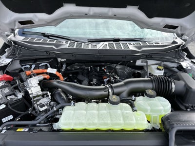 2026 Ford F-150 XLT Hybrid