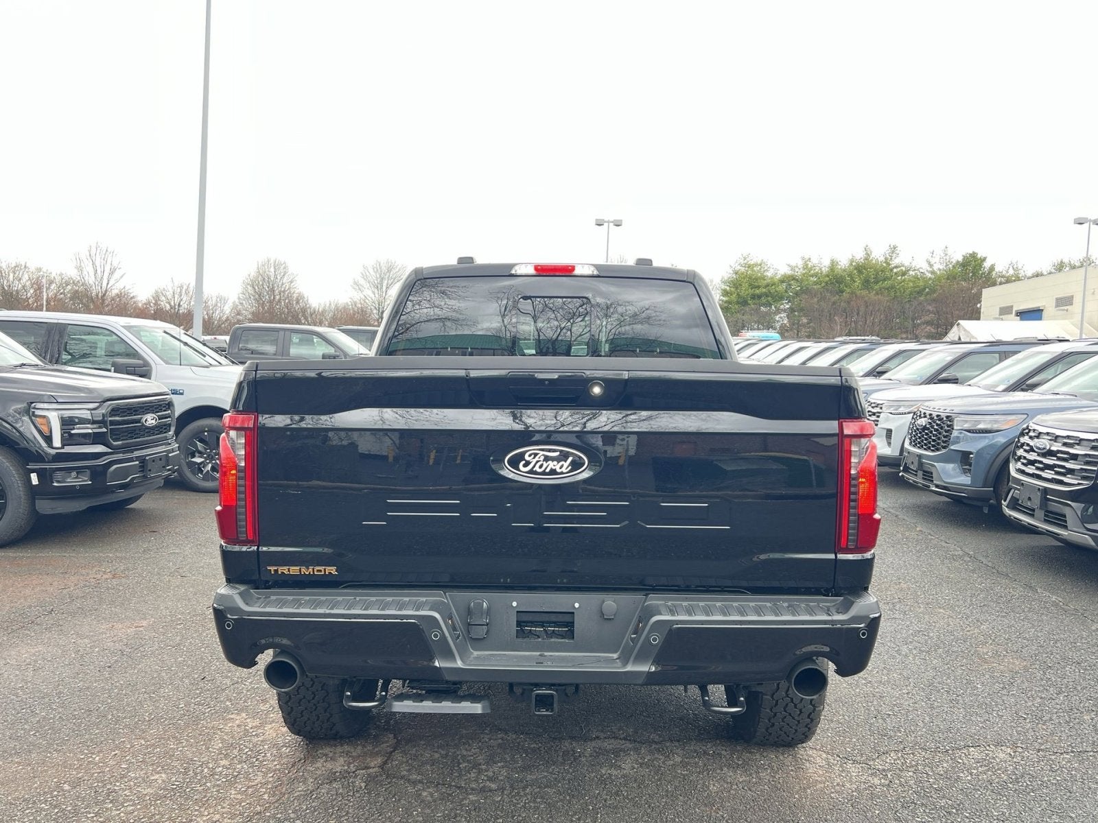 2025 Ford F-150 Tremor