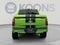 2026 Ford F-150 Shelby Off-Road Champion Edition