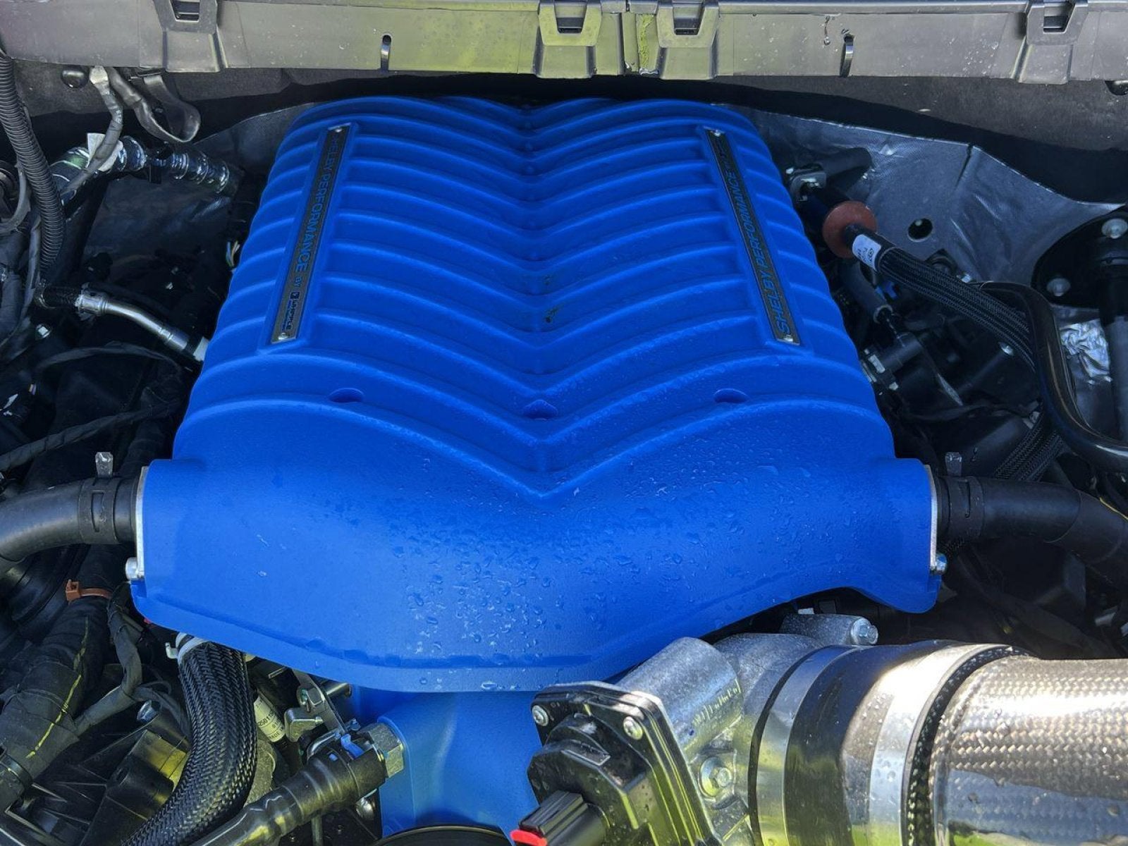 2025 Ford F-150 SHELBY Supercharged 785-HP