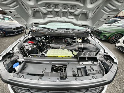 2025 Ford F-150 FP700 Supercharged Honey Badger
