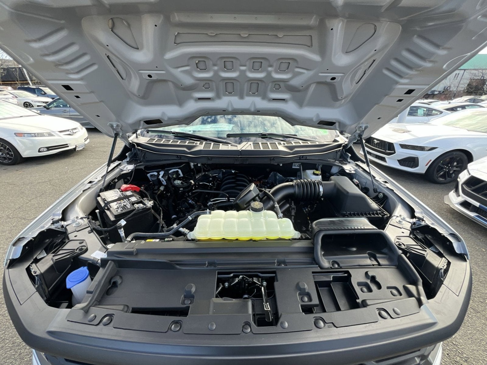 2025 Ford F-150 Bandit Lowered Street Truck