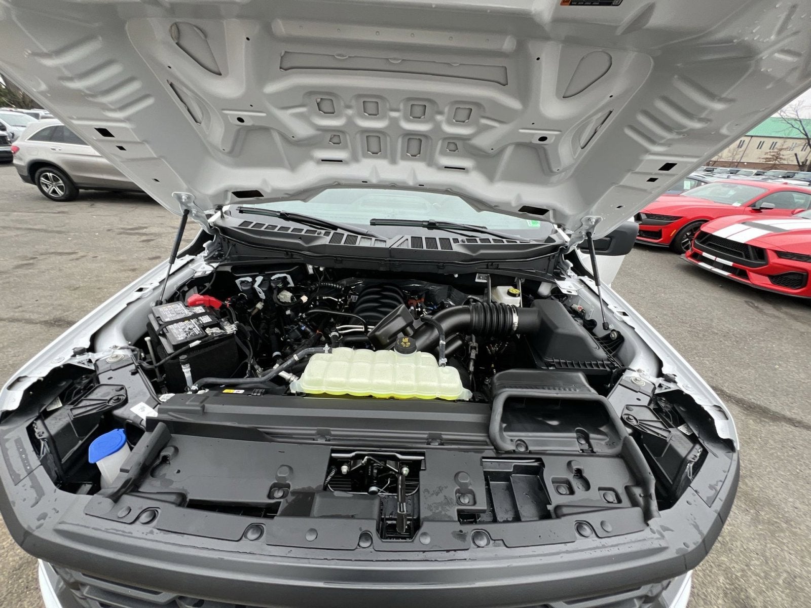 2025 Ford F-150 Bandit Lowered Street Truck