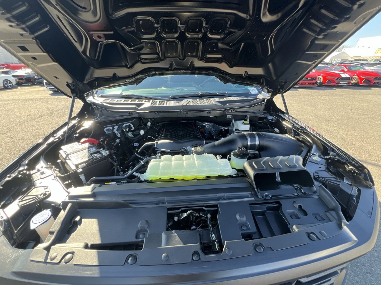 2025 Ford F-150 FP700 Supercharged Honey Badger