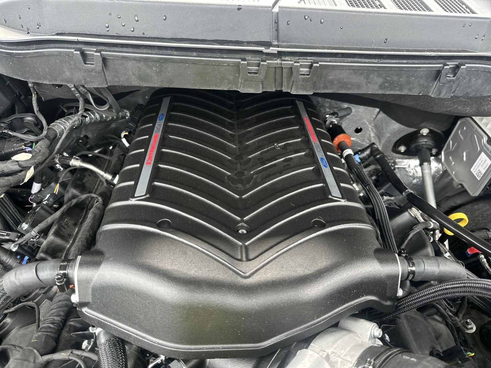 2026 Ford F-150 FP700 Supercharged Honey Badger