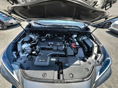 2024 Lexus NX 250 Base