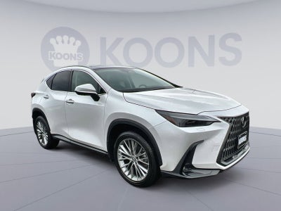 2024 Lexus NX 350 Luxury