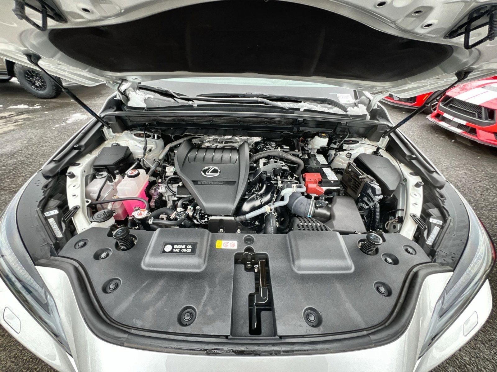 2024 Lexus NX 350 Luxury