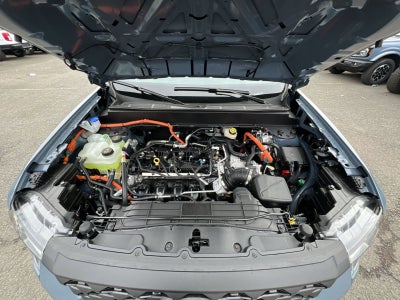 2026 Ford Maverick XLT Hybrid