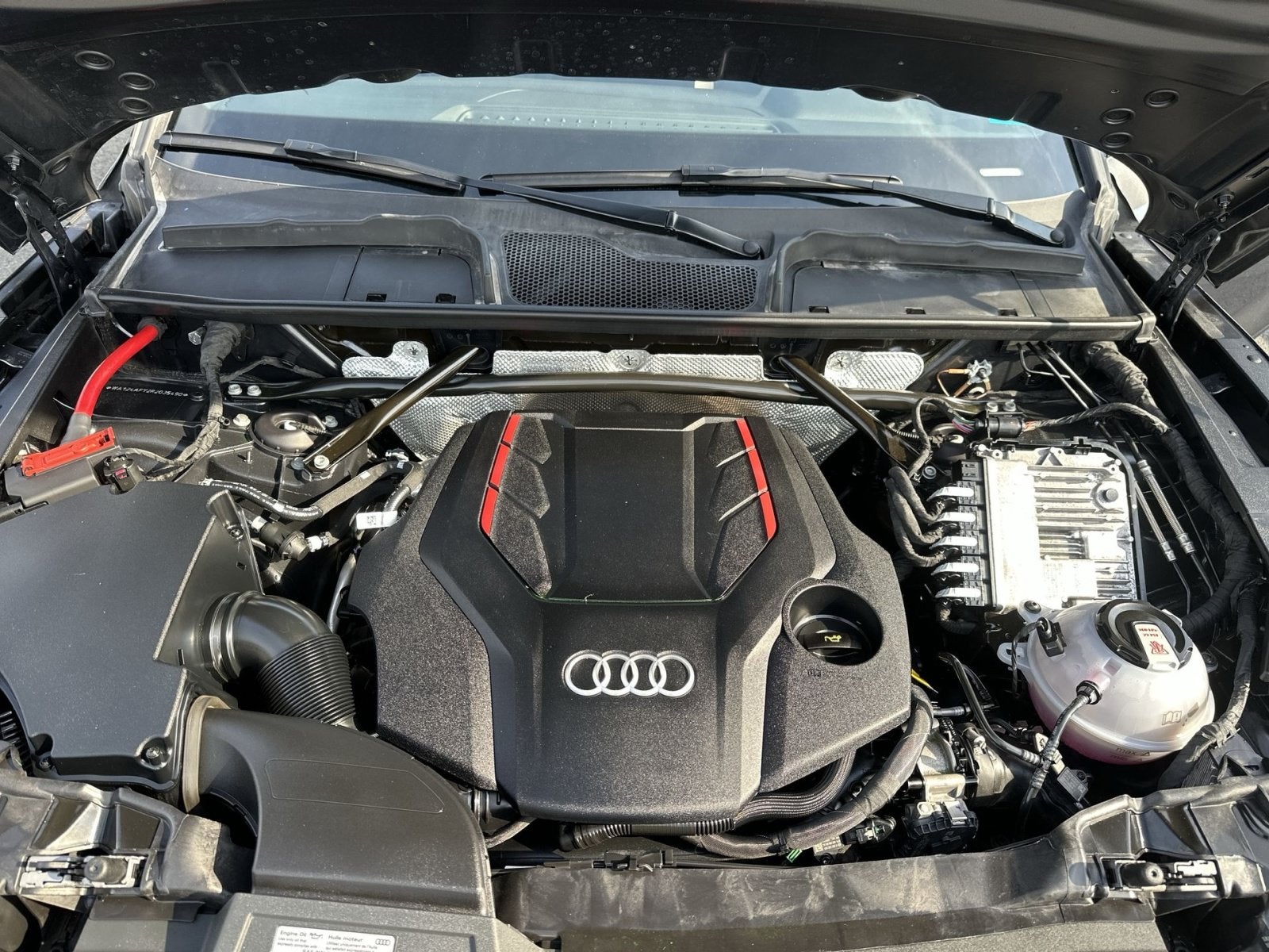 2024 Audi SQ5 Sportback Premium Plus
