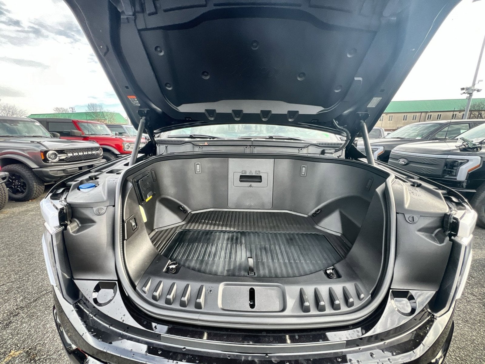 2025 Ford F-150 Lightning Platinum®