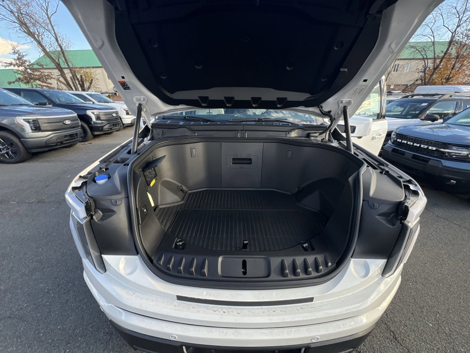 2025 Ford F-150 Lightning Platinum®