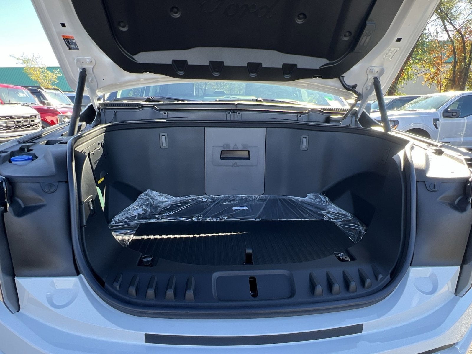 2025 Ford F-150 Lightning XLT