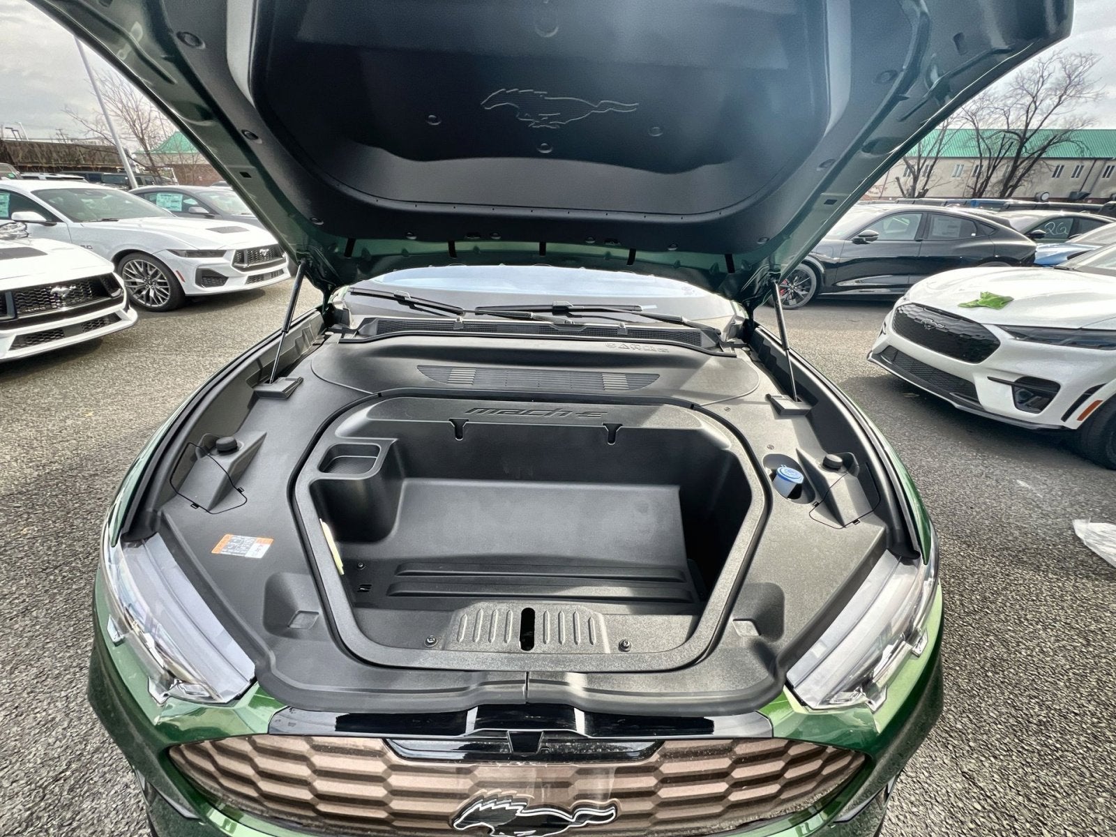 2025 Ford Mustang Mach-E GT