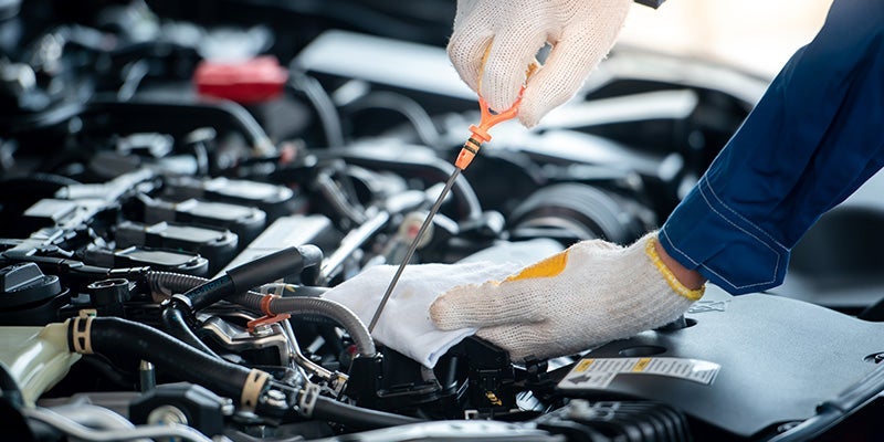 20% your next service appointment